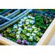 13. LEGO Art 31220 - Claude Monet: Bridge over the Lily Pond