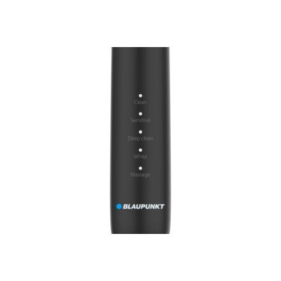 2. Blaupunkt DTS201BK Electric Toothbrush, Black