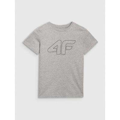 5. Boy's regular printed T-shirt 4F 4FJRMM00TTSHM3255-25M