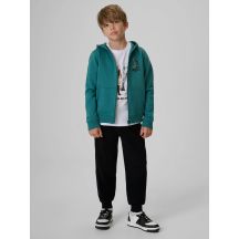 Boys' jogger sweatpants 4F 4FJKAW26TTROM2086-20S