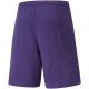 4. Puma teamRise Short Prist M 704942 10