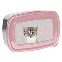 PASO Sweet Kitty Plastic Lunch Box - PP23KC-3022