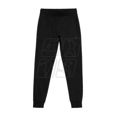 Trousers 4F M 4FWMM00TTROM0942-20S