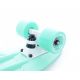 10. Tempish Buffy Nature 1060000785 skateboard