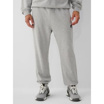 6. Men's jogger sweatpants 4F 4FRAW26TTROM2176-27M