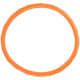 5. DIVING RING 2PCS GREEN AND ORANGE