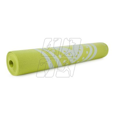 3. Ecowellness yoga mat QB8300LG