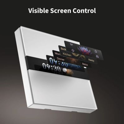 3. Aqara Display Switch V1