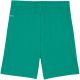2. Puma Team Goal men's shorts green 705752 05