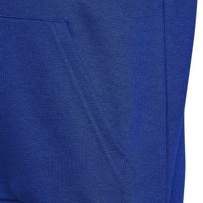 4. Adidas Big Logo Essentials Hoody Jr HN1912 sweatshirt