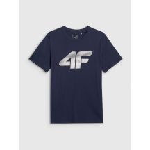 Men's T-shirt 4F 4FRMM00TTSHM3251-31S