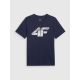 Men's T-shirt 4F 4FRMM00TTSHM3251-31S
