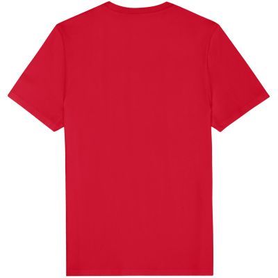 2. Fila Rifredi men's t-shirt red FAM1219 30002