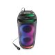Gogen BPS696 Bluetooth Speaker with Karaoke for Kids