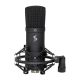 11. STAGG SUM45 Set - USB Condenser Microphone