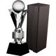 6. Glass trophy with case