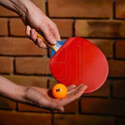 5. Meteor Windstorm 15018 Table Tennis Racket