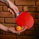 5. Meteor Windstorm 15018 Table Tennis Racket