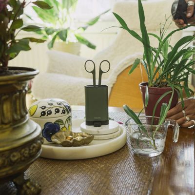 6. FISKARS Plant Care potted plant care tool set (1075317) (3 pcs.)