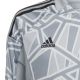 9. adidas Condivo 22 Long Sleeve Kids' Goalkeeper Jersey Gray HB1646