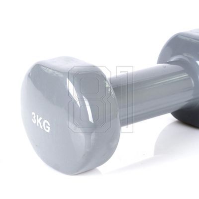21. PROfit vinyl weight 0.5kg DK 4102