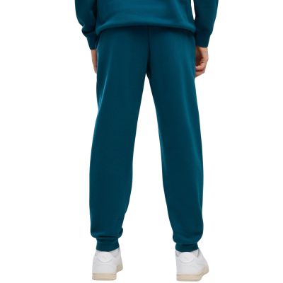 4. Puma ESS 2 Color No. 1 Logo Turquoise Kids' Pants 685824 36