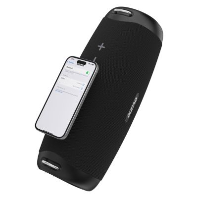 4. Dudao Y21Pro Wireless Speaker with RGB Backlight Bluetooth 5.3 - Black
