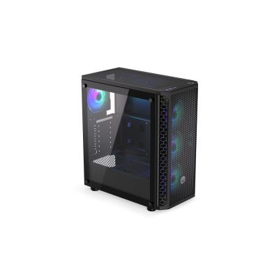 33. ENDORFY Signum 300 ARGB case