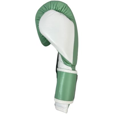 4. MASTERS RBT-PASTEL green boxing gloves