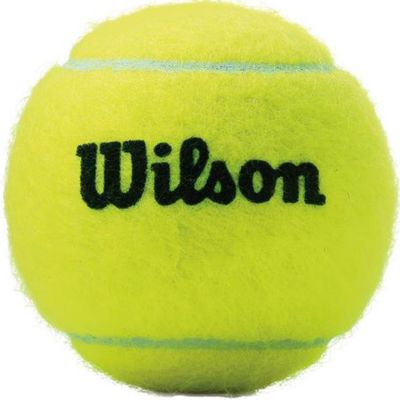 3. Wilson Championship Extra Duty Tennis Balls 3 pcs