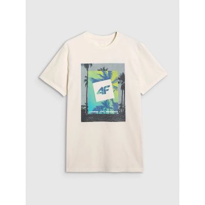 6. Men's regular printed T-shirt 4F 4FRSS25TTSHM2846-12S