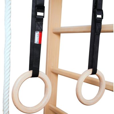 31. LADDER WITH WOODEN BAR AND ACCESSORIES BENCHK 111+A204