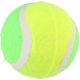 11. TENNIS BALL FOR DOGS 3 PCS COLOR