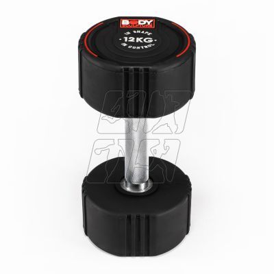 11. Dumbbell Body Sculpture TPU BW 133 12 KG