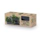 VERTICAL GARDEN FLOWER BED 4SET ANTHRACITE
