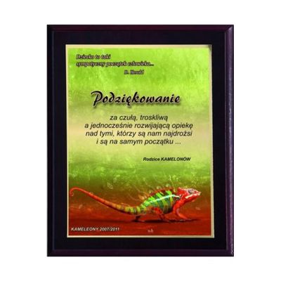 9. Plastic diploma with color touch laminate