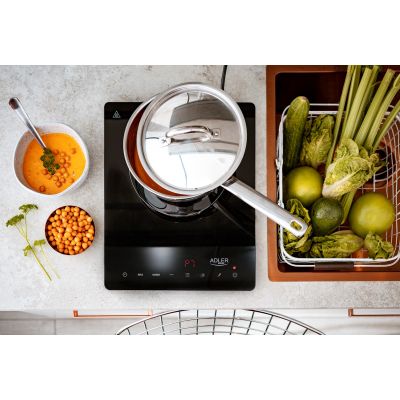 9. ADLER AD 6513 induction cooker