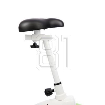 29. HMS M9239 white and green magnetic bike *