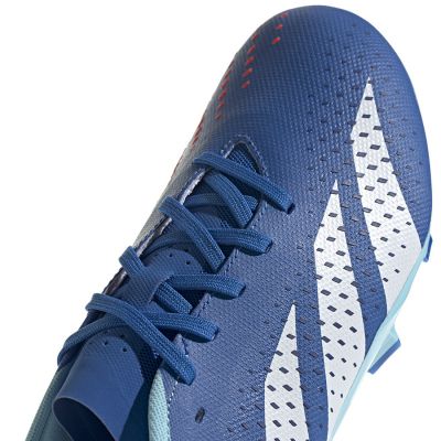 4. Adidas Predator Accuracy.3 L FG M GZ0015 football boots