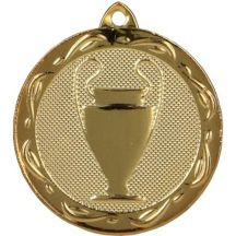 Gold general medal, steel medal
