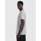 4. Men's regular printed T-shirt 4F 4FRAW25TTSHM3364-27M