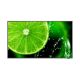 2. NEC MultiSync E438 Digital Signage Flat Panel 108 cm (42.5") LCD 350 cd/m2 4K Ultra HD Black 16/7