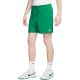 Nike Club Men's Green Shorts FN3520 365