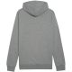 6. Puma Team Goal Casuals Hoody M 658618 33