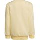 2. adidas Essentials 3-Stripes Crewneck Jr HP1273 sweatshirt