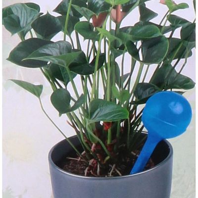 8. AUTOMATIC WATERING CAN DISPENSER WATERING BALL 250ML BLUE