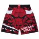 Mitchell & Ness NBA Chicago Bulls Jumbotron 2.0 Sublimated Shorts