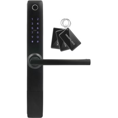 Door handle with access controller EURA ELH-20H4 Black