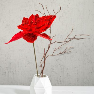 12. STAR OF BETHLEHEM 30CM