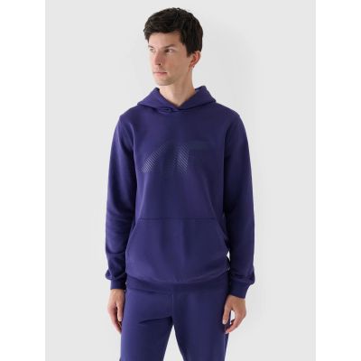 Men's sweatshirt with hood, open, 4F 4FWMM00TSWSM1766-31S